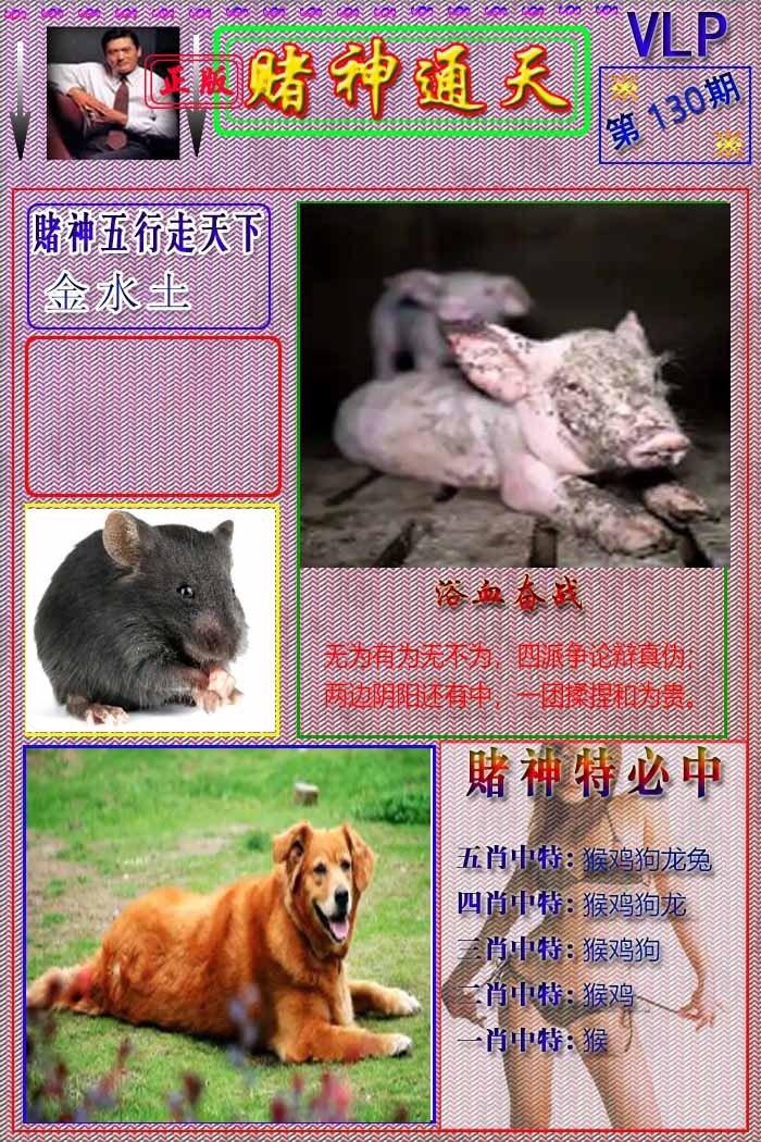 130期赌神通天报[图]