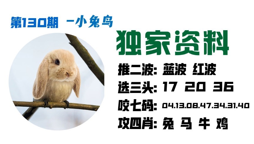 130期小兔鸟[图]